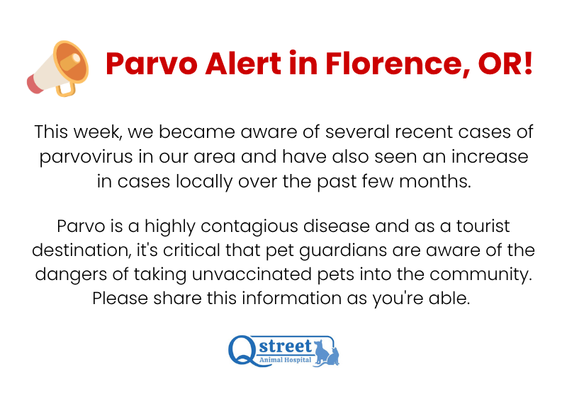 Carousel Slide 1: parvo virus alert