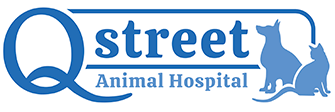 Link to Homepage of Q Street Animal Hospital